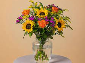 Serenata flowers discount