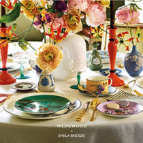 Wedgwood coll