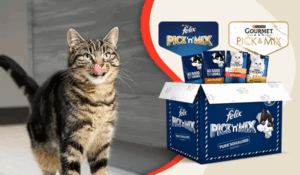 Purina creative