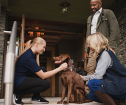 Inn Collection Group discount