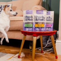 Pooch and Mutt offer 2026 v2