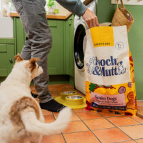 Pooch and Mutt offer 2026 v3