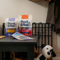 Pooch and Mutt offer 2026 v4